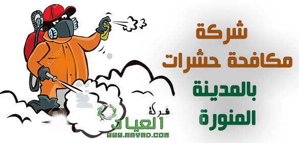 شركة مكافحة حشرات بالمدينة المنورة